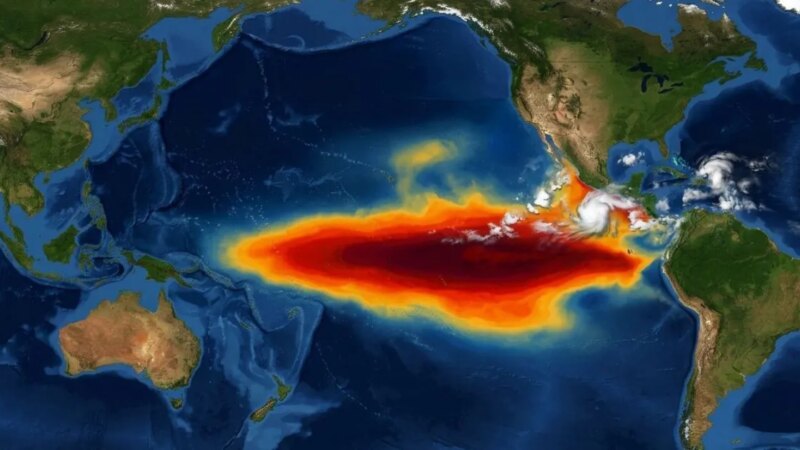 El Niño pode afetar oferta e cotações de soja, diz economista