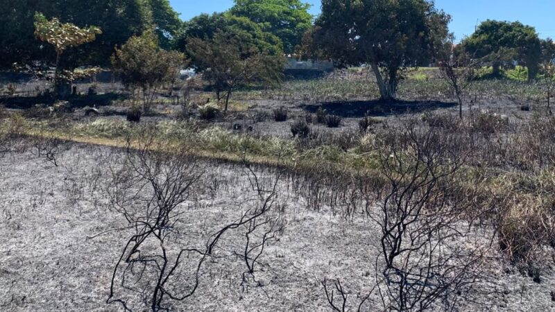 Incêndio iniciado em queima de lixo atinge área de vegetação em Nossa Senhora do Socorro