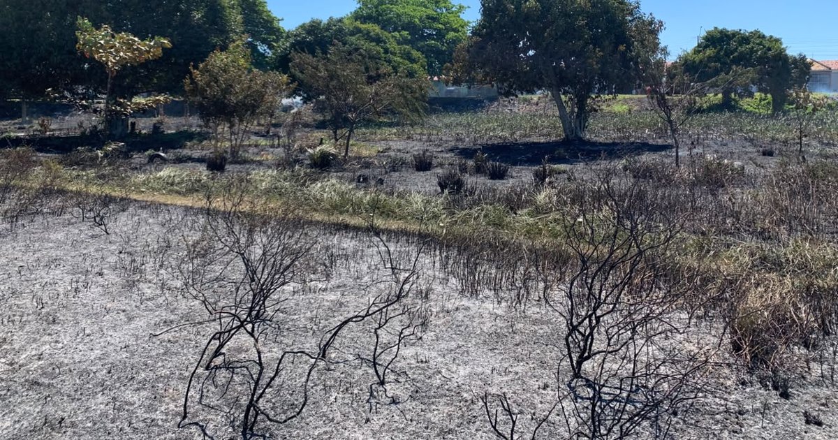 Incêndio iniciado em queima de lixo atinge área de vegetação em Nossa Senhora do Socorro
