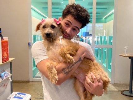 João Guilherme adota cachorrinha e a batiza de Maria Joana: “nova companheira”