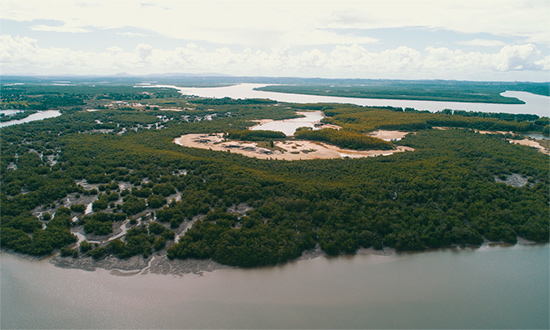 MPF/SE convoca audiência sobre regularização e proteção da Ilha Mem de Sá