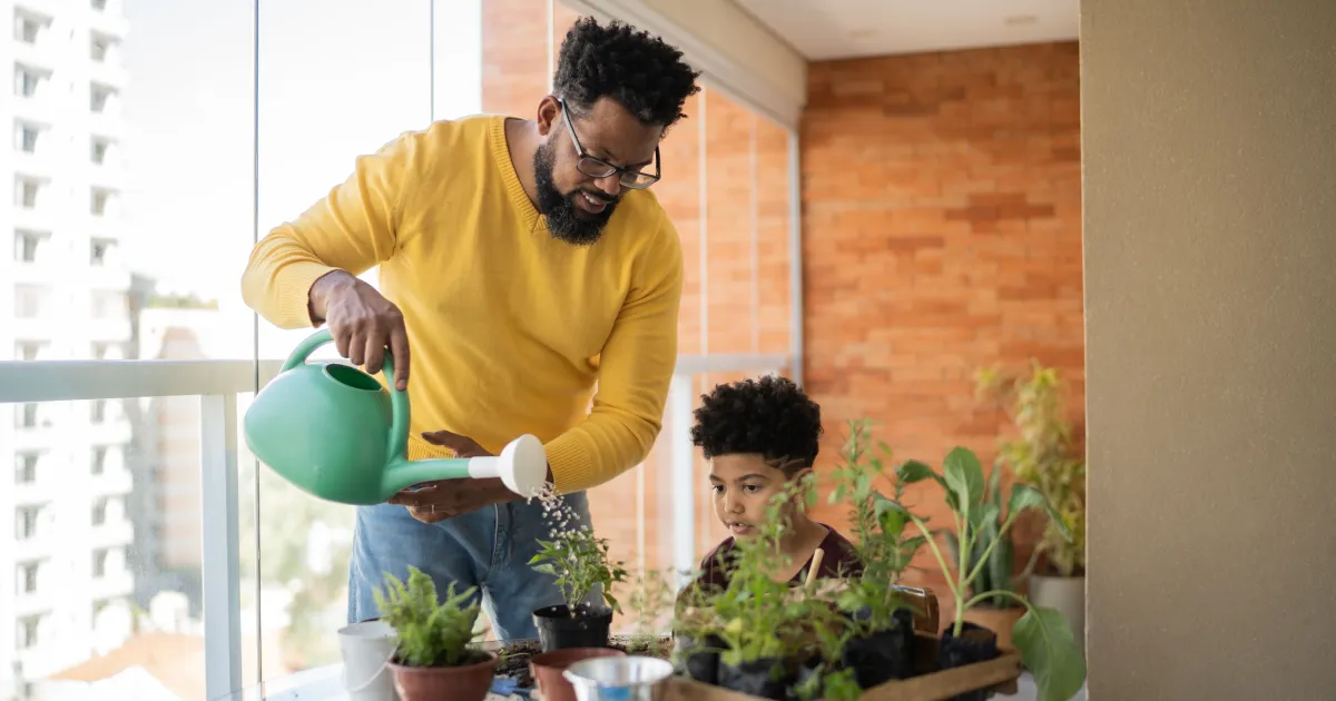 Plantas: como escolher a melhor para cada ambiente da casa