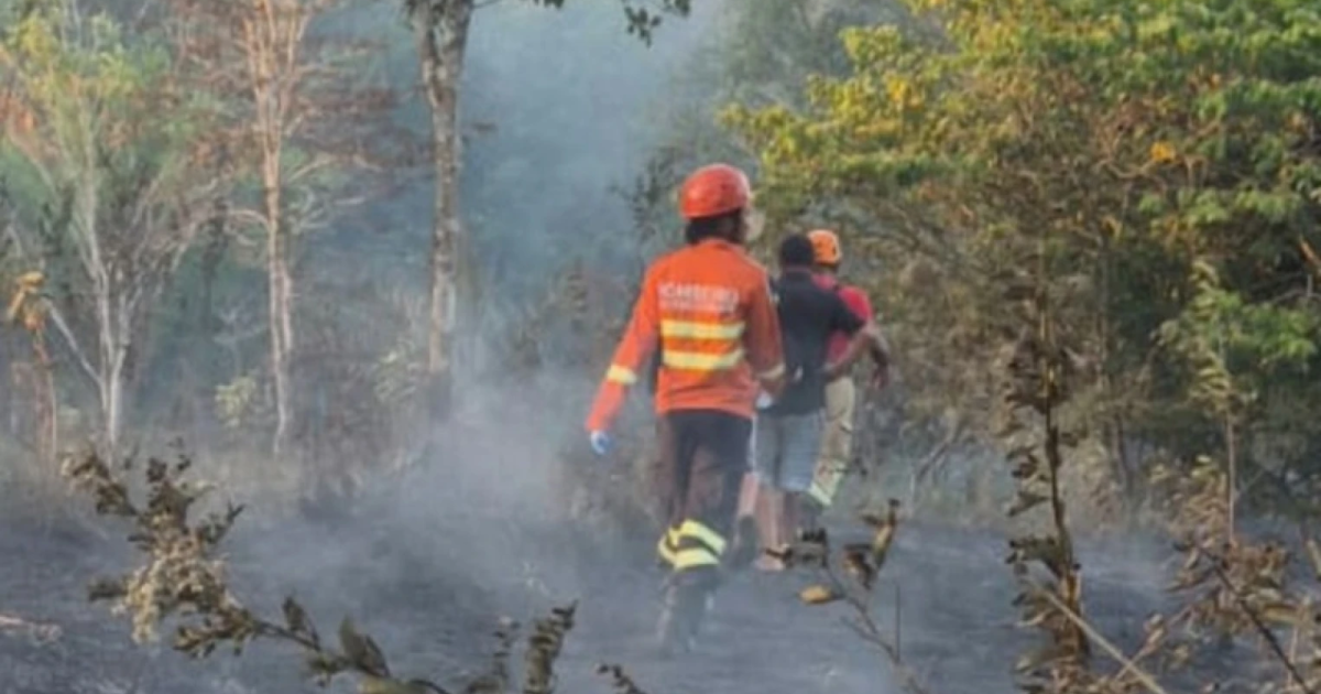 Corpo é encontrado de bruços em área incendiada em Itaporanga d’Ajuda