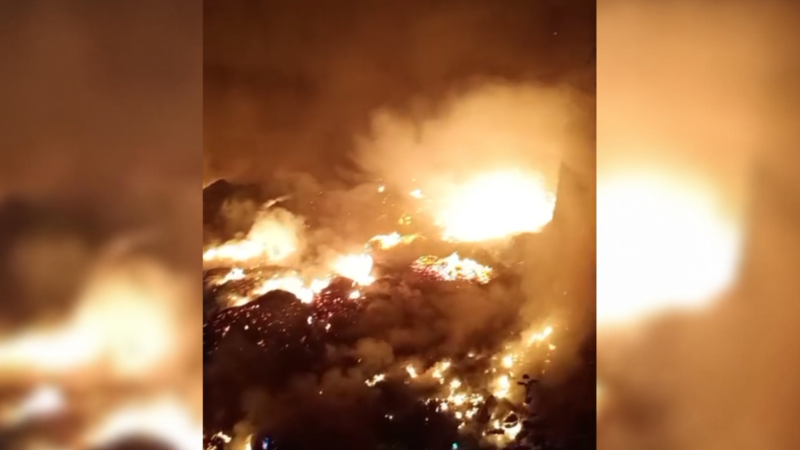 O que sabemos sobre incêndios que atingem mais de 30 cidades do Amazonas