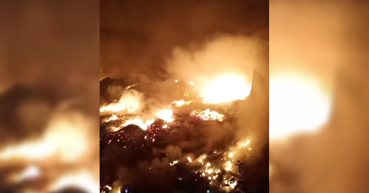 O que sabemos sobre incêndios que atingem mais de 30 cidades do Amazonas
